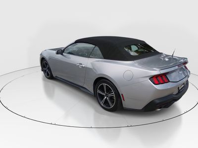 2024 Ford Mustang - Photo 5