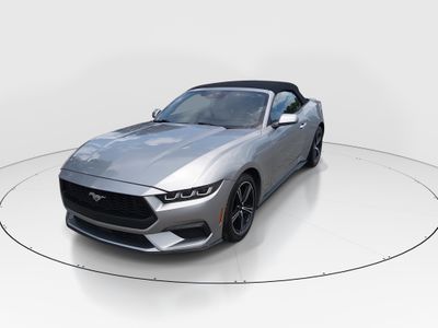 2024 Ford Mustang - Photo 3