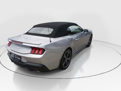 2024 Ford Mustang - Photo 7