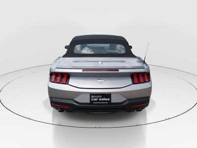 2024 Ford Mustang - Photo 6