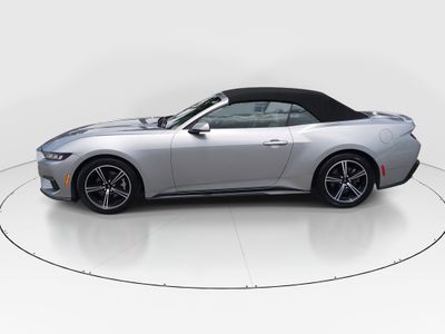 2024 Ford Mustang - Photo 4