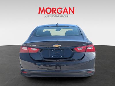 2023 Chevrolet Malibu - Photo 6