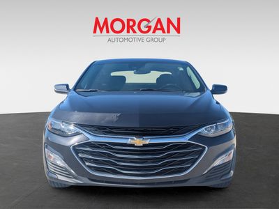 2023 Chevrolet Malibu - Photo 3