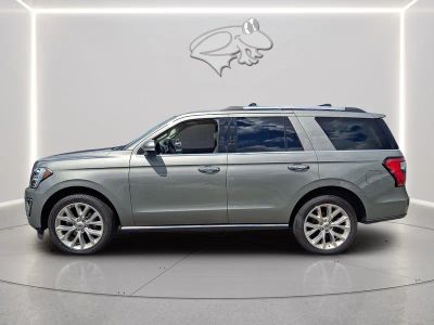 2019 Ford Expedition — side profile view