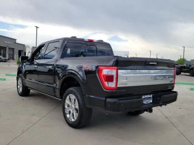 2023 Ford F-150 — detail view