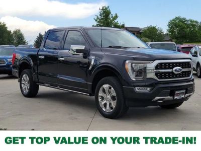 2023 Ford F-150 Platinum in Black Metallic — front three-quarter view