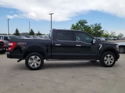 2023 Ford F-150 — side profile view