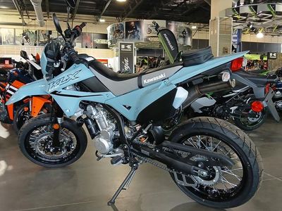 2025 Kawasaki KLX300SM - Photo 8