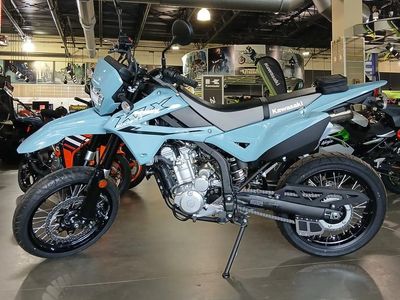 2025 Kawasaki KLX300SM - Photo 11