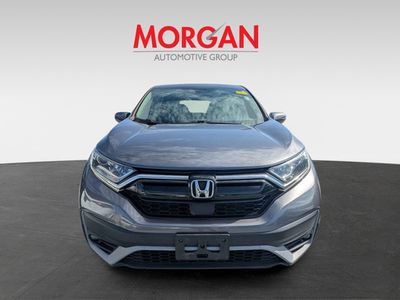 2020 Honda CR-V - Photo 8