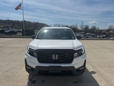 2023 Honda Passport Elite - Photo 3