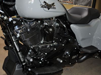 2024 Harley-Davidson Freewheeler - Photo 6