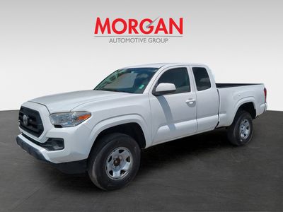 2020 Toyota Tacoma - Photo 3