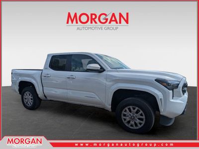 2024 Toyota Tacoma - Photo 1