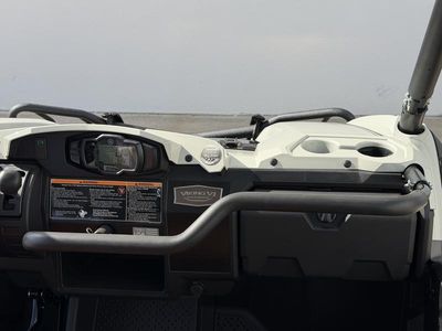 2025 Yamaha Viking VI EPS Ranch Edition - Photo 14