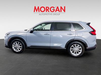 2025 Honda CR-V - Photo 4