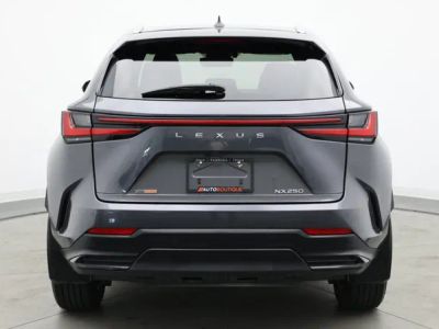2022 Lexus NX - Photo 6
