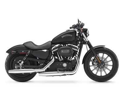 2013 Harley-Davidson Sportster Iron 883 - Photo 1