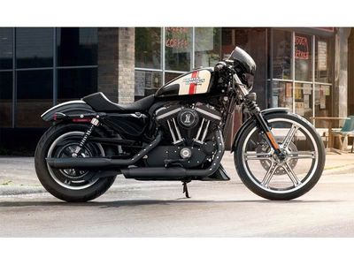 2013 Harley-Davidson Sportster Iron 883 - Photo 3