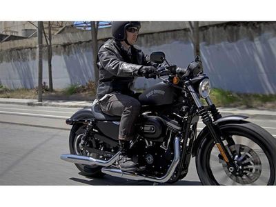 2013 Harley-Davidson Sportster Iron 883 - Photo 9