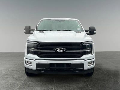 2025 Ford F-150 — side profile view
