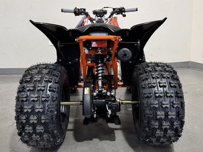 2025 Kayo Predator 125 EFI - Photo 4