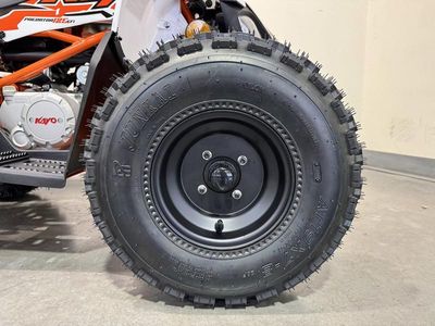 2025 Kayo Predator 125 EFI - Photo 15