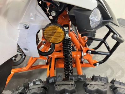 2025 Kayo Predator 125 EFI - Photo 14