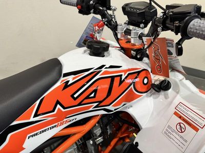2025 Kayo Predator 125 EFI - Photo 13