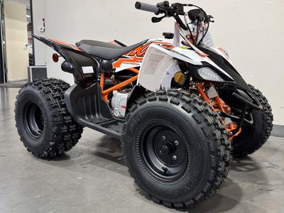 2025 Kayo Predator 125 EFI - Photo 3