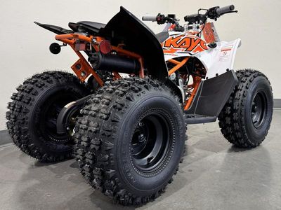2025 Kayo Predator 125 EFI - Photo 5