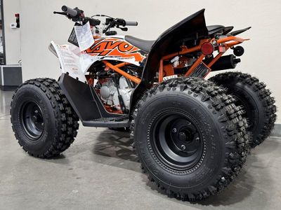 2025 Kayo Predator 125 EFI - Photo 6