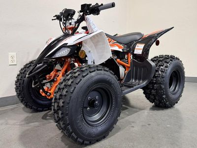 2025 Kayo Predator 125 EFI - Photo 2