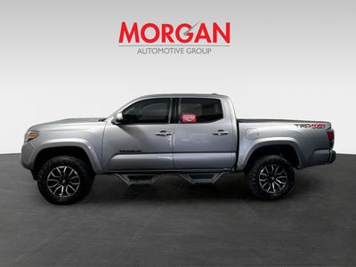 2020 Toyota Tacoma - Photo 6