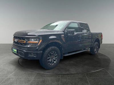 2026 Ford F-150 — rear three-quarter view