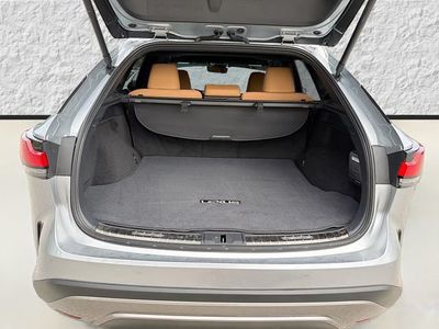 2024 Lexus RX - Photo 11