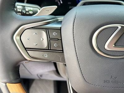 2024 Lexus RX - Photo 38