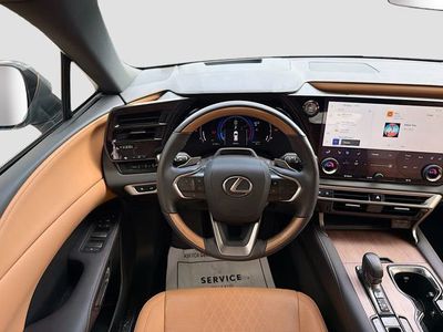 2024 Lexus RX - Photo 17