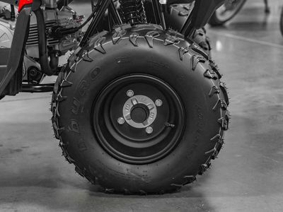 2025 Yamaha Grizzly 110 - Photo 10