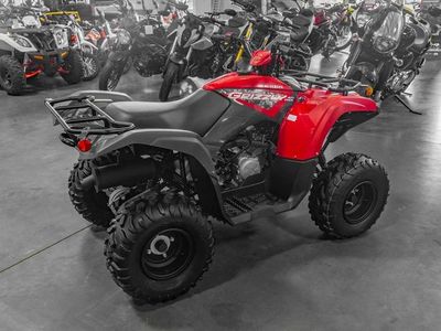2025 Yamaha Grizzly 110 - Photo 5