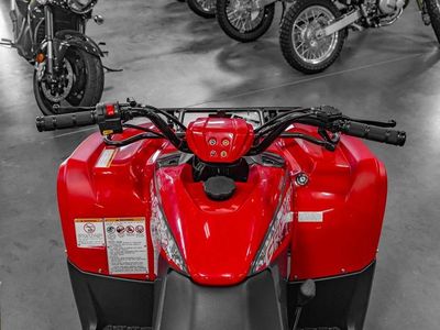 2025 Yamaha Grizzly 110 - Photo 6