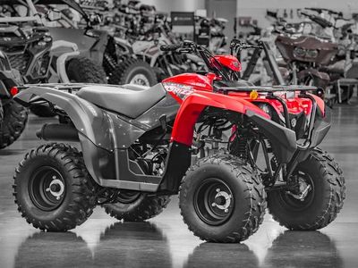 2025 Yamaha Grizzly 110 - Photo 1