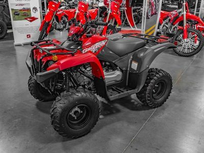 2025 Yamaha Grizzly 110 - Photo 3