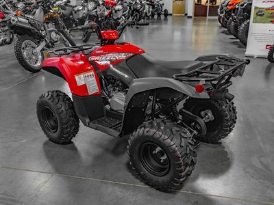 2025 Yamaha Grizzly 110 - Photo 4