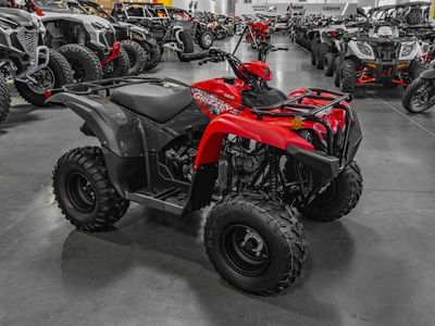 2025 Yamaha Grizzly 110 - Photo 2