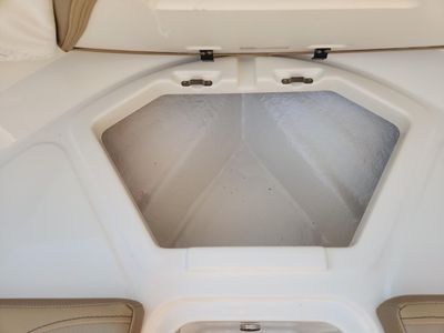 2025 Bayliner V20I - Photo 18