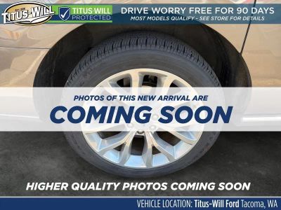 2018 Ford Expedition Max — detail view