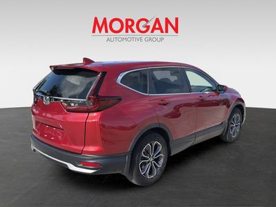 2022 Honda CR-V - Photo 4