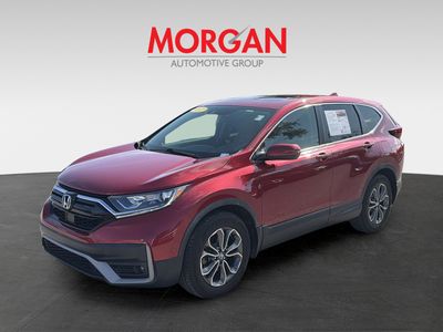 2022 Honda CR-V - Photo 8