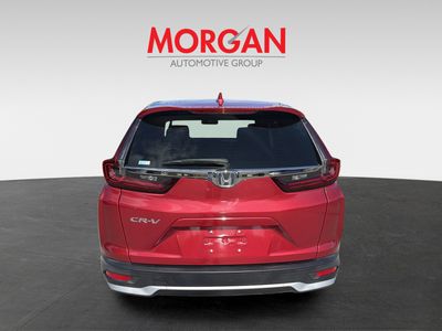 2022 Honda CR-V - Photo 5